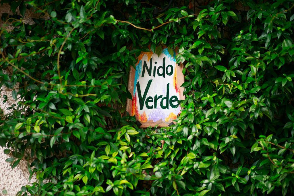 Nido Verde Agerola Kültér fotó